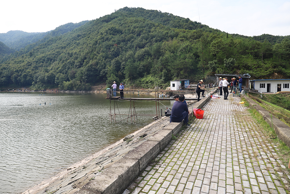 浙江新東陽建設(shè)集團有限公司